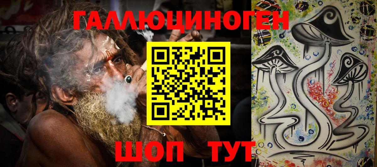Галлюциногенные грибы Psilocybe Бийск