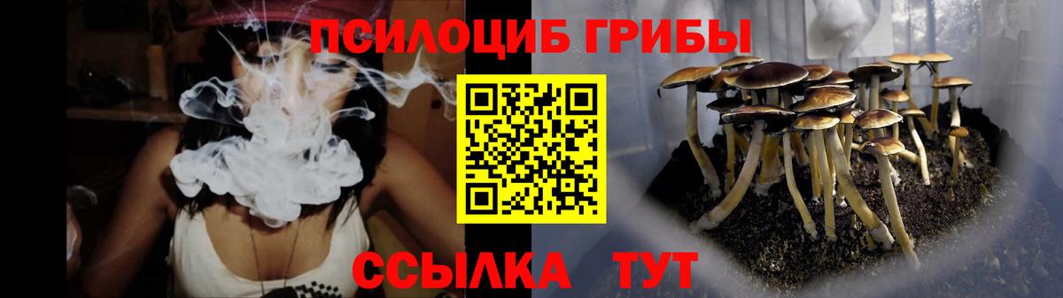 Бийск  Галлюциногенные грибы Cubensis  Галлюциногенные грибы Cubensis  Вход с VPN 